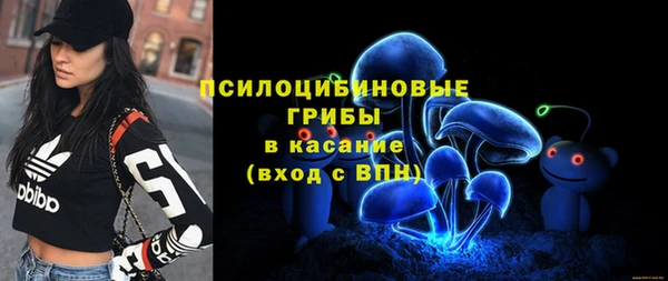 сатива Красноперекопск