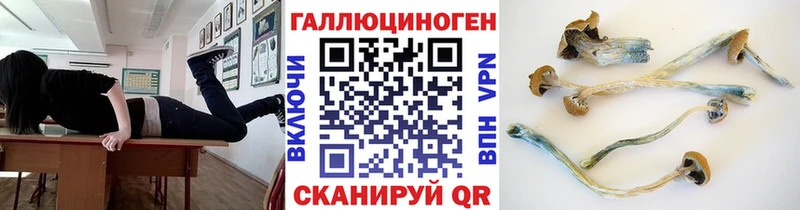 Купить где  Алупка  Псилоцибиновые грибы GOLDEN TEACHER 